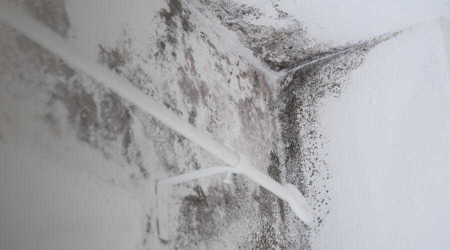 Why choose water damage restoration service for commercial water damage restoration in Nashville